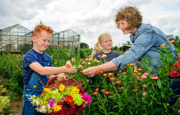 Vrouw met kinderen plukken bloemen